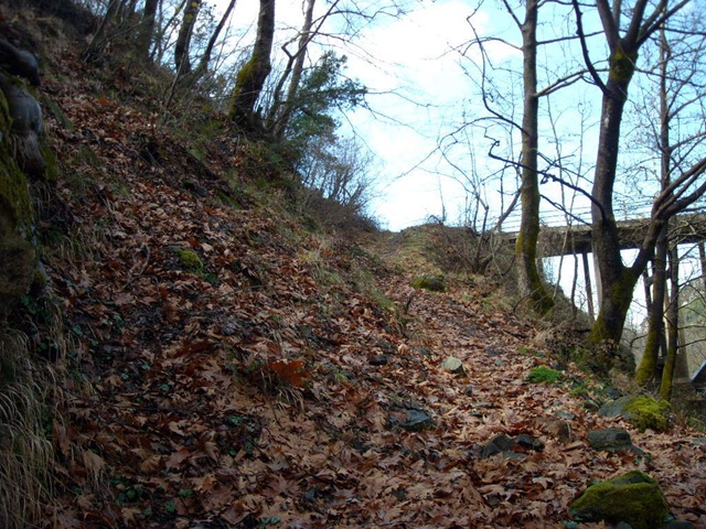 [DSCN26062.jpg]