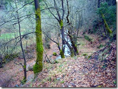 DSCN2597