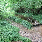 20090628 045.JPG