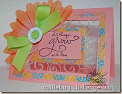 cuttlebugchallenge19-ambergoble