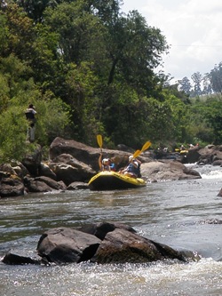 FS Radicão 9 (387)