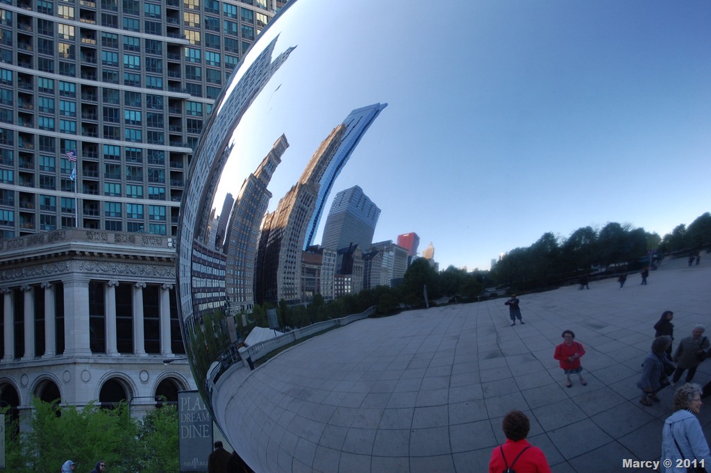 [DSC_0252[7].jpg]
