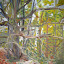 trees in the berkshires