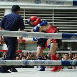 DSC02540.JPG