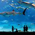 Aquarium raksasa di Jepang