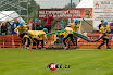 20090705 sedlejov 037.jpg