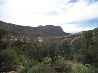 looking back up at Cathedral Butte Photo