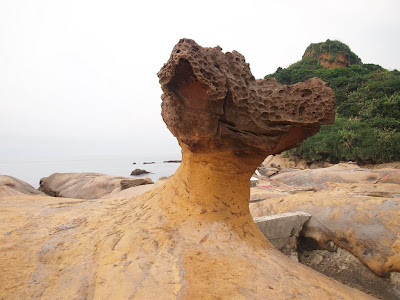 P6264527.JPG