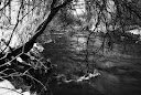 Río Bernesga a su paso por La Pola de Gordón.- Foto de Alfredo García