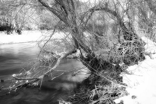 Invierno.- Fotografía de Alfredo García Álvarez
