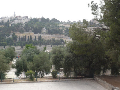 Israël trip2010 121.JPG