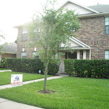 Residential Shingle Roofing Gallery