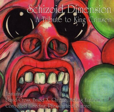 [A Tribute To King Crimson - Schizoid Dimension - Front[2].jpg]