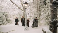 The Chronicles of Narnia The Lion, the Witch and the Wardrobe (2005)4