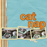 catnap_DU.jpg