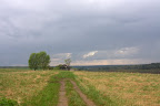 IMG_7319.CR2.jpg