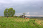 IMG_7309.jpg