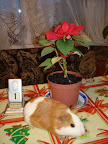 DSC04594.JPG