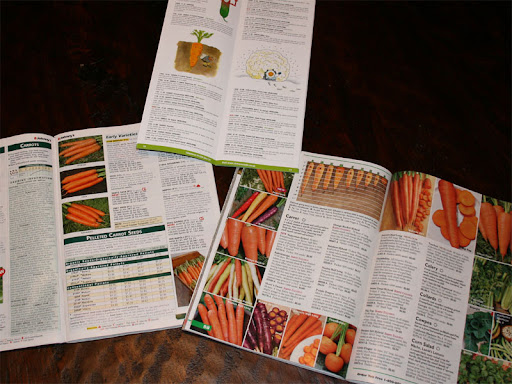 Chiltern Seeds