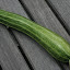 Squash 'Portofino'