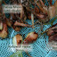 Onion 'Yellow of Parma'