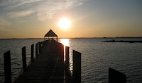 IMG_2431_S.jpg Photo IMG_2431_S.jpg Photo