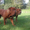 DSCN5291.jpg