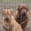 gallery diciembre2.09 023.jpg