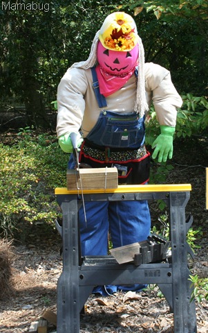  فزاعات طريفة للحديقة! - Scarecrows interesting for the garden! Maclay+Gardens+10-3-2010+067%5B8%5D