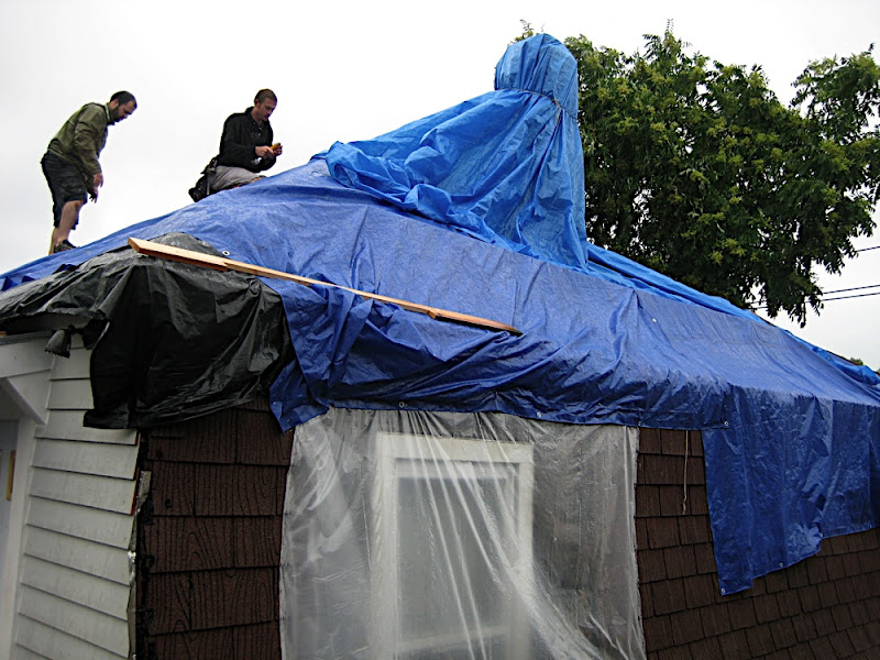 A hairnet for the house