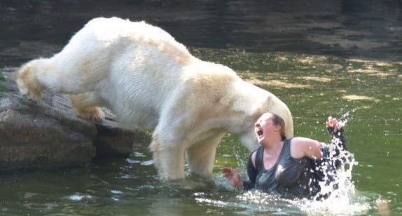 [German woman attacked by polar bears in Berlin Zoo[3].jpg]