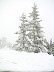 snow