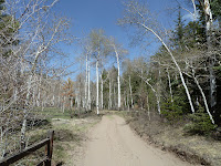 P1000294.JPG Photo