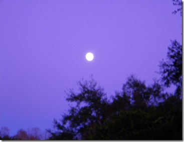 walking in sunset and moon 030