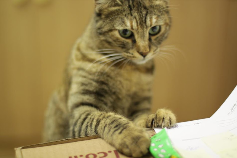 Мой обычный день