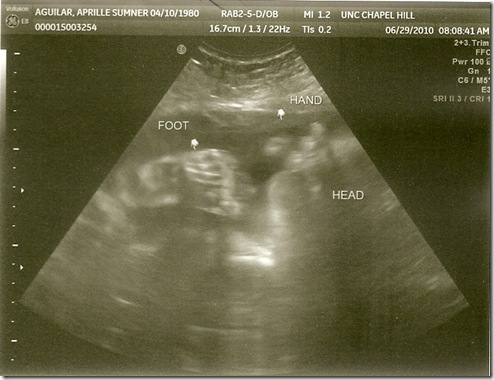 scan0007