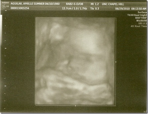 scan0005