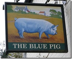 Pub Signs London England Animal Colors06