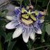 dscn5619.jpg dscn5619.jpg