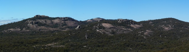 [P1150108[3].jpg]
