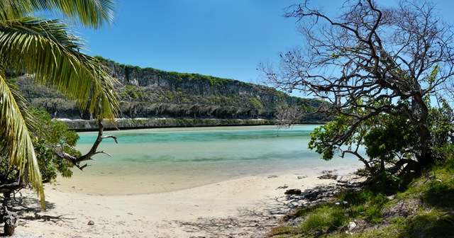 [P1140103[4].jpg]