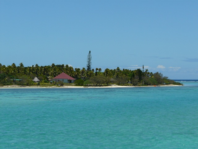[P1140047[4].jpg]