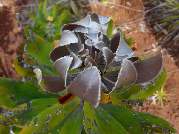 P1110779