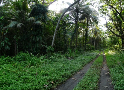 P1120868