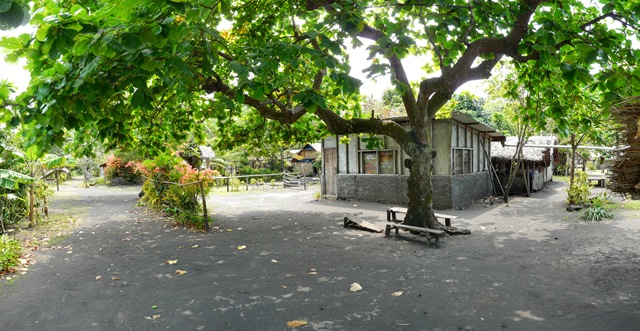 [P11208764.jpg]