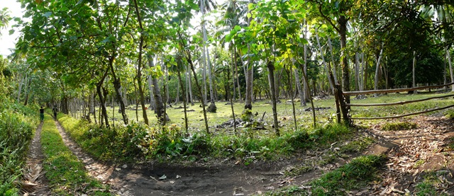 [P11209264.jpg]