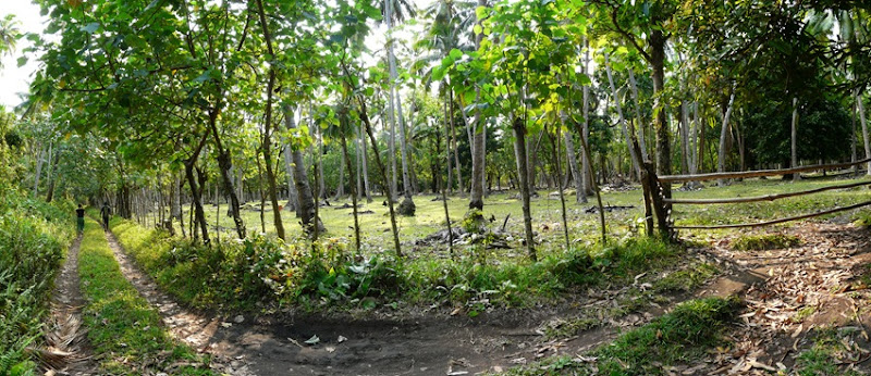 P1120926