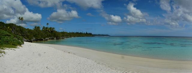 [P1170232[3].jpg]