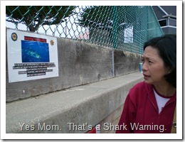 Yes mom, shark.
