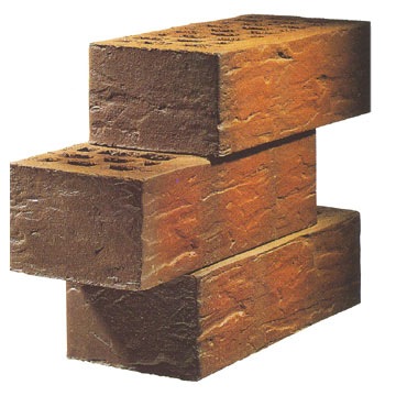 [Shale_Facing_Brick6.jpg]